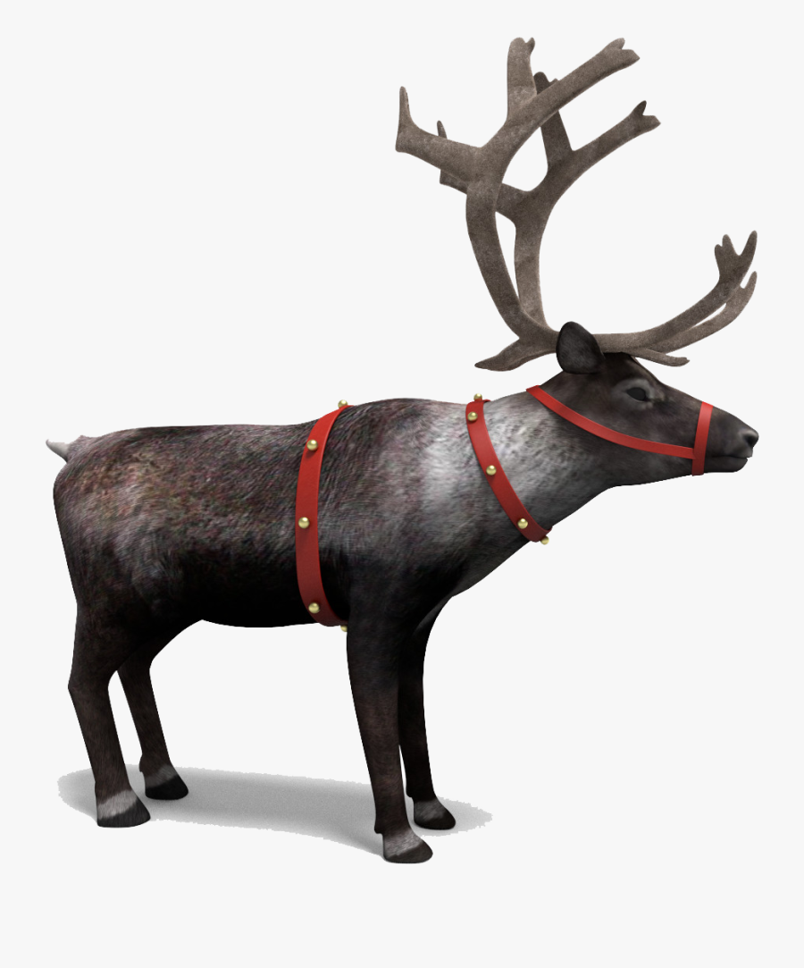 Reindeer Png, Transparent Clipart