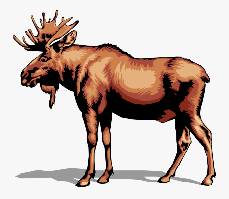 Vector Illustration Of Large, Long-headed Mammal Canadian - Moose Clipart, Transparent Clipart