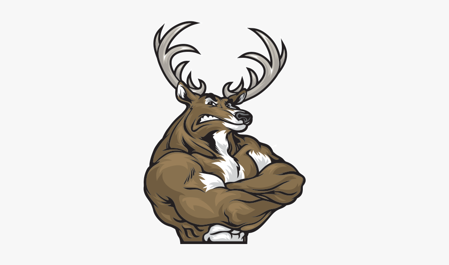 Moose Clipart Muscle - Deer Drawing Easy, Transparent Clipart