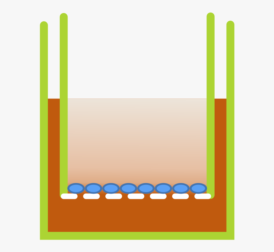 Transwell Clipart, Transparent Clipart