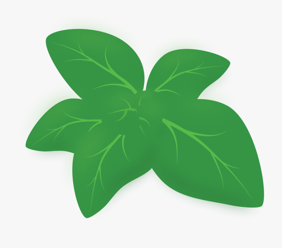 Hoja De Oregano Png, Transparent Clipart