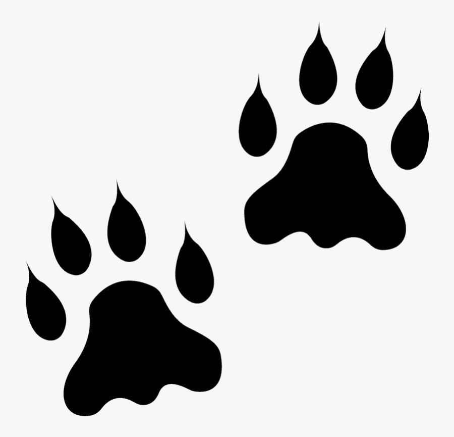 Transparent Deer Tracks Clipart - Lion Tracks, Transparent Clipart