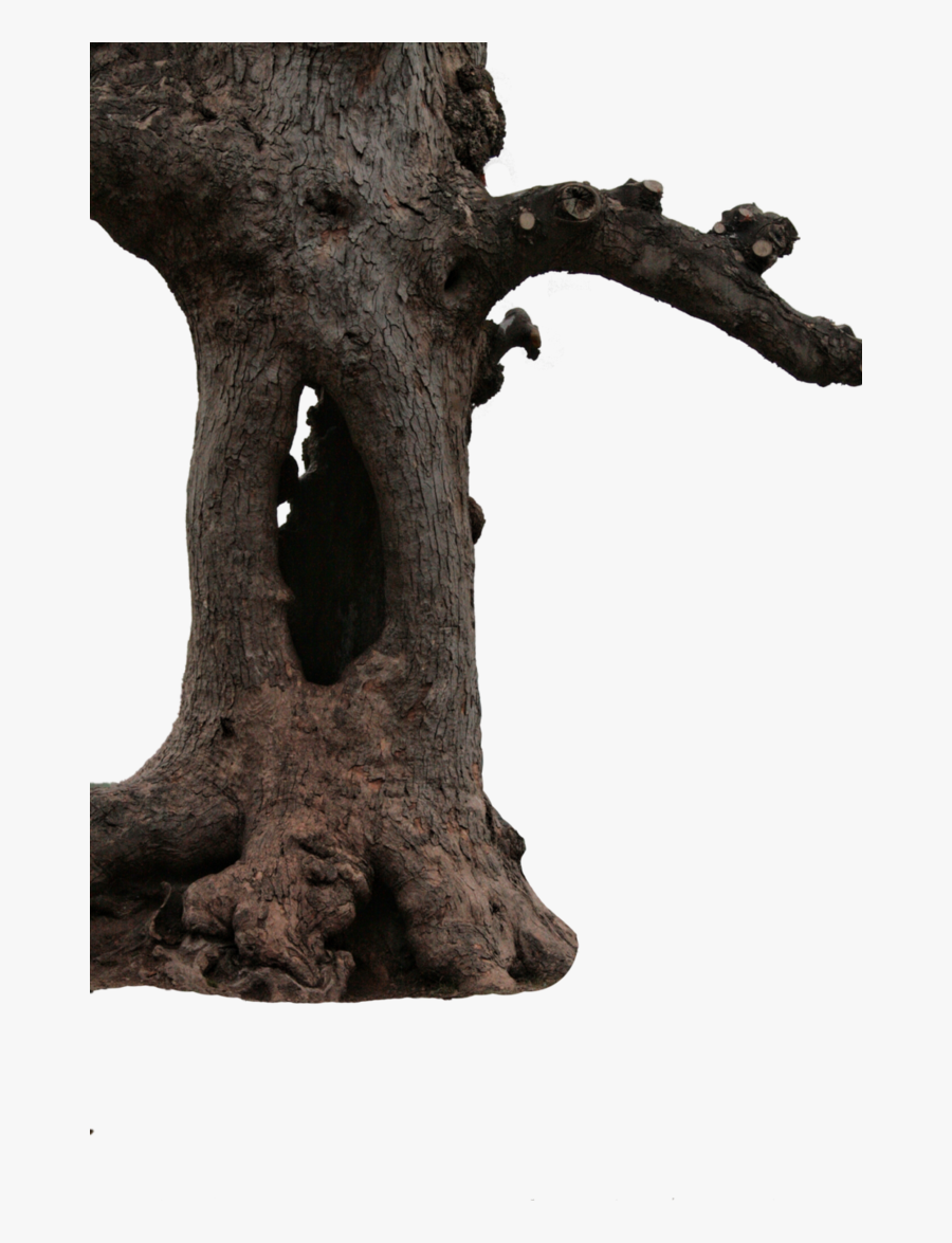 Transparent Tree Stump Clipart Free, Transparent Clipart