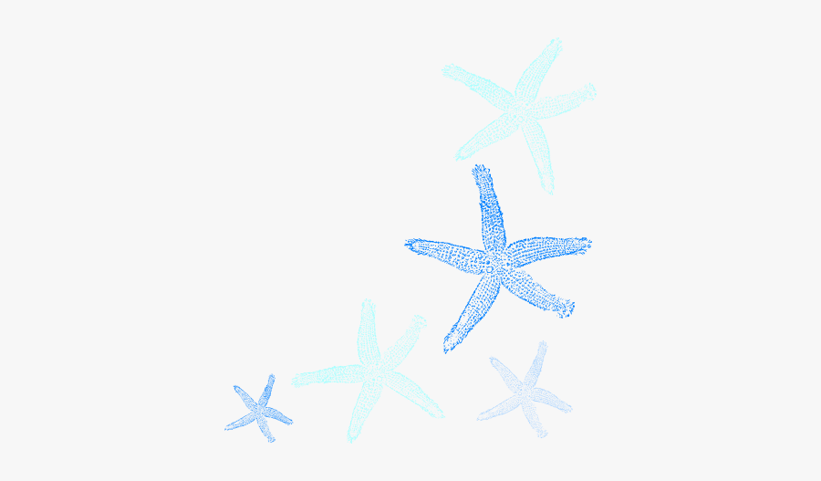 Seashells Clipart Borders, Transparent Clipart