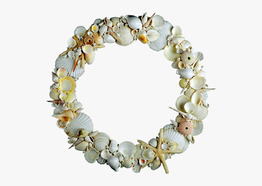 Clip Art Pin By Nana Losh - Seashell, Transparent Clipart