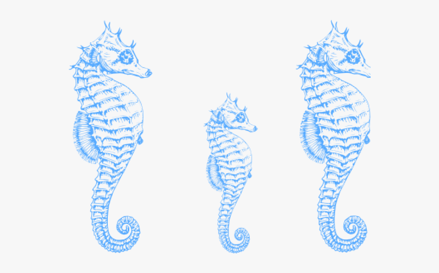 Seahorse Free On Dumielauxepices - Black And White Seahorse, Transparent Clipart