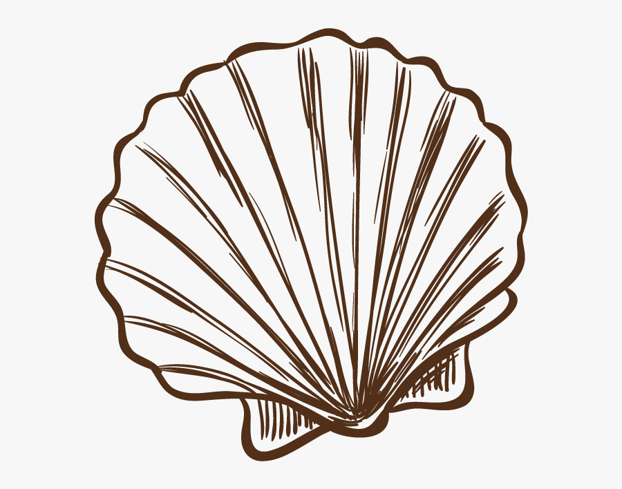 Seashell Illustration Hand Painted Shells Transprent - Conchas Do Mar Desenho, Transparent Clipart