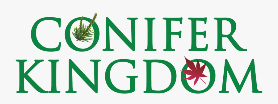 Dwarf Conifers - - Amfi Steinkjer, Transparent Clipart