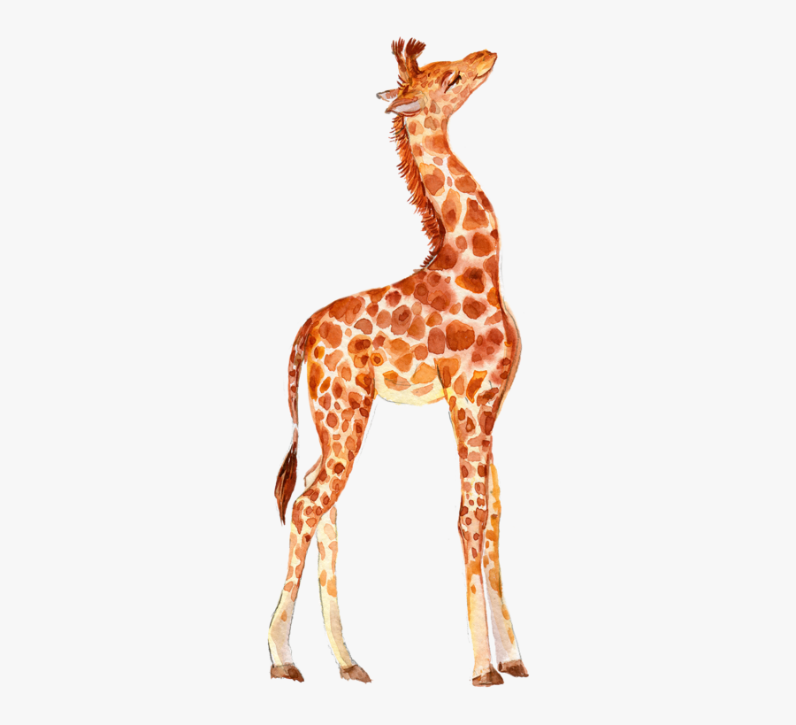 Giraffe, Transparent Clipart