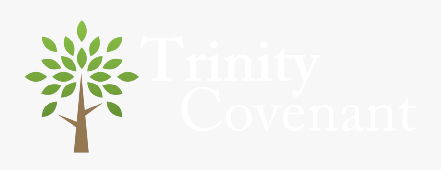 Trinity Church Png - Graphic Design, Transparent Clipart
