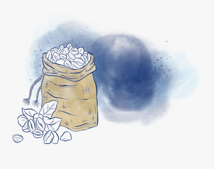 Sketch, Transparent Clipart