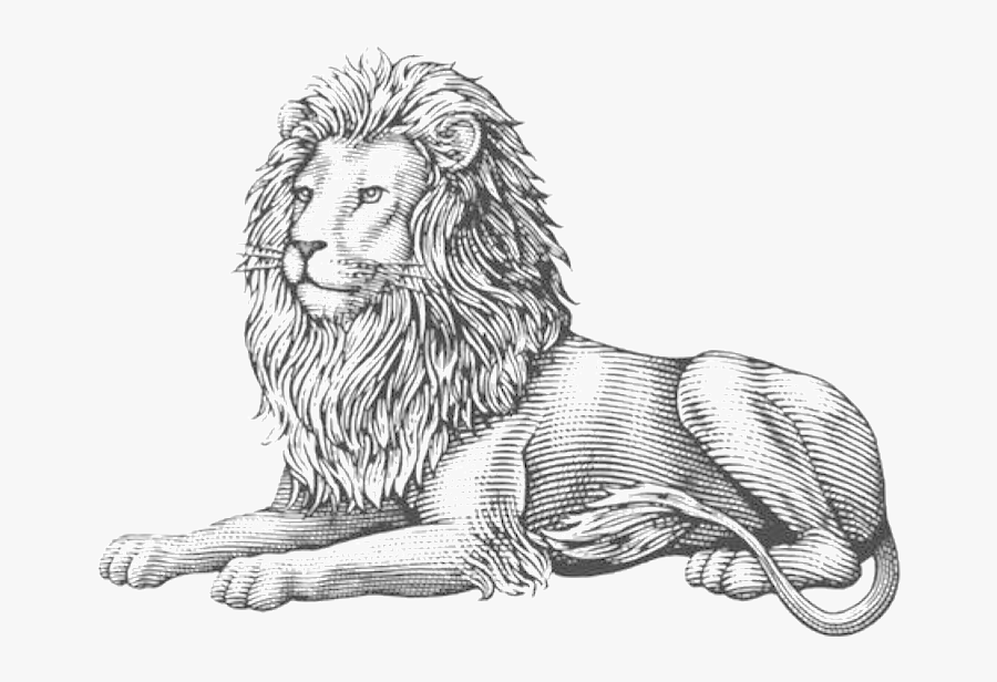 Lion Engraving, Transparent Clipart