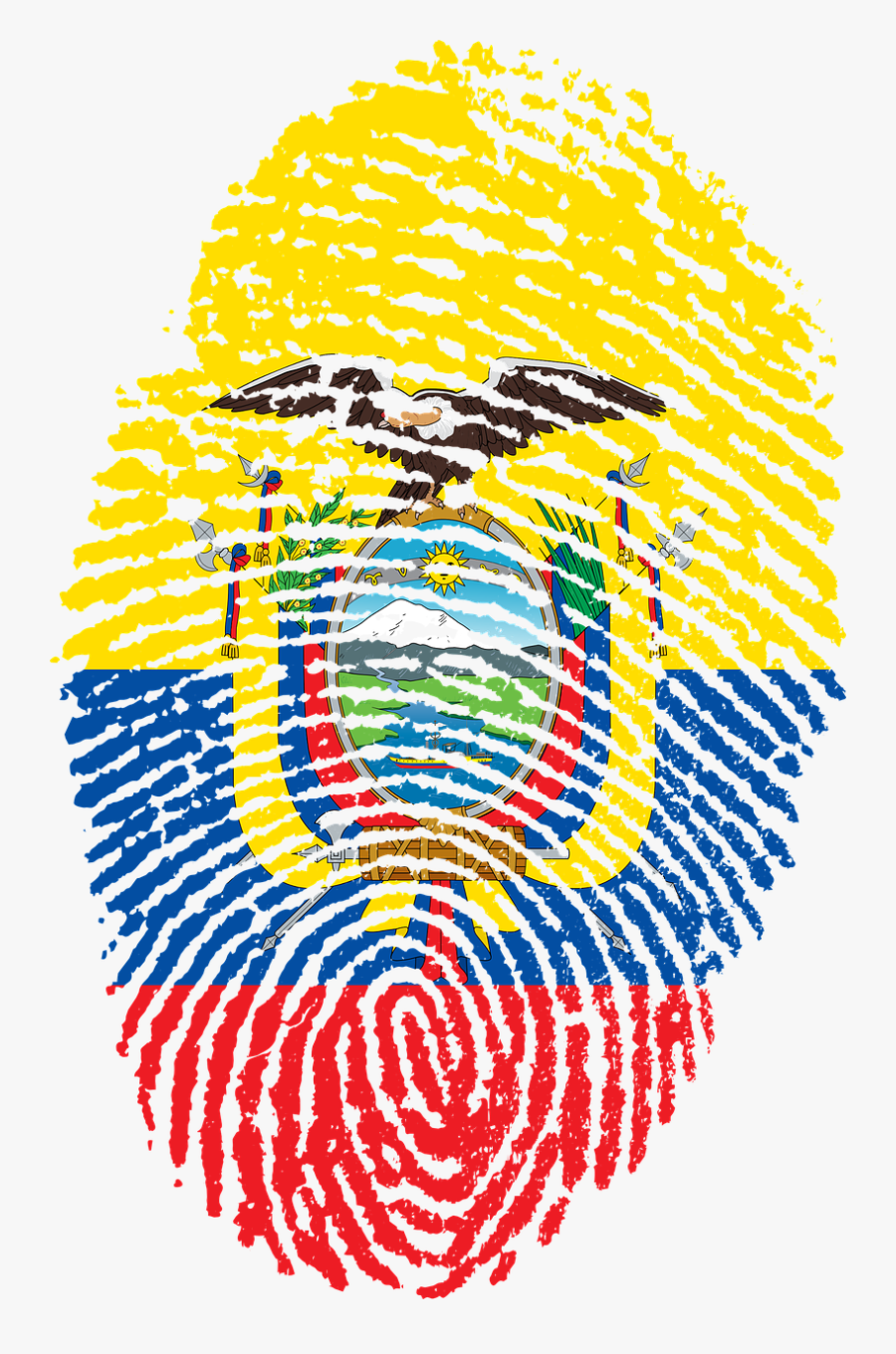 Huella Venezuela Png, Transparent Clipart
