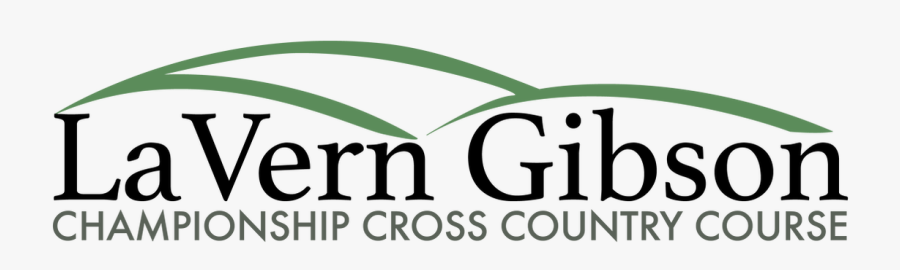 Picture - Graphic Design, Transparent Clipart