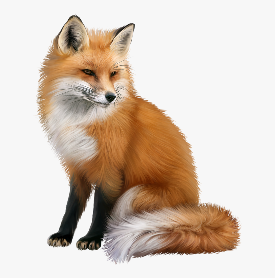 John Cena Clipart Fox - Fox Png, Transparent Clipart