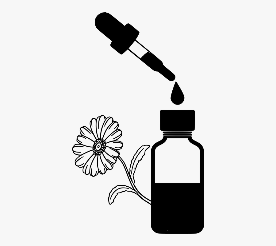 Chamomile, Essential, Oil, Bottle, Beauty, Apothecary - Cbd Oil Black And White, Transparent Clipart