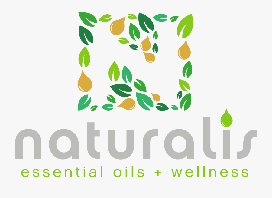 Graphic Design, Transparent Clipart