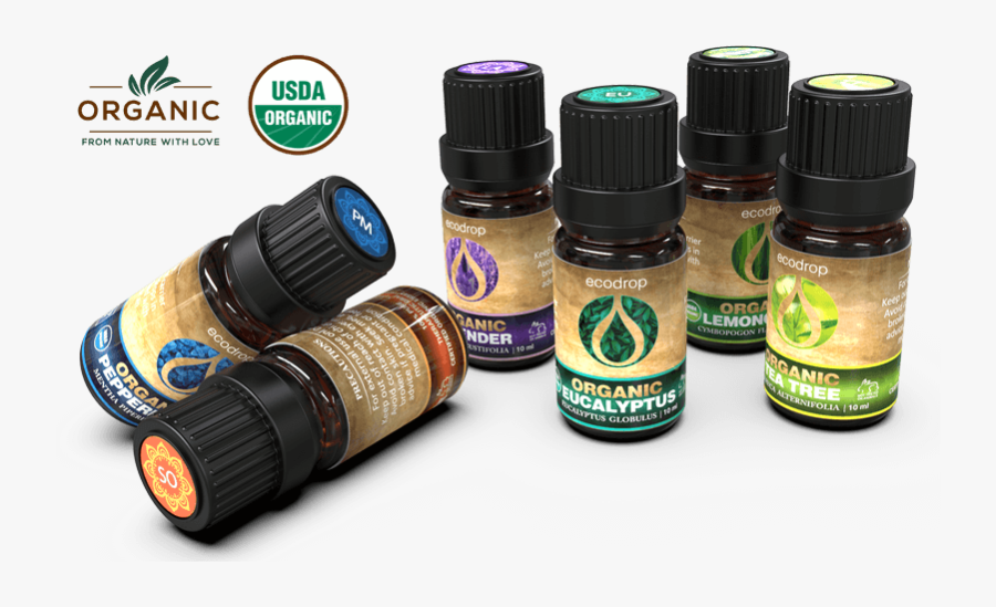 Home Product Banner - Lens, Transparent Clipart