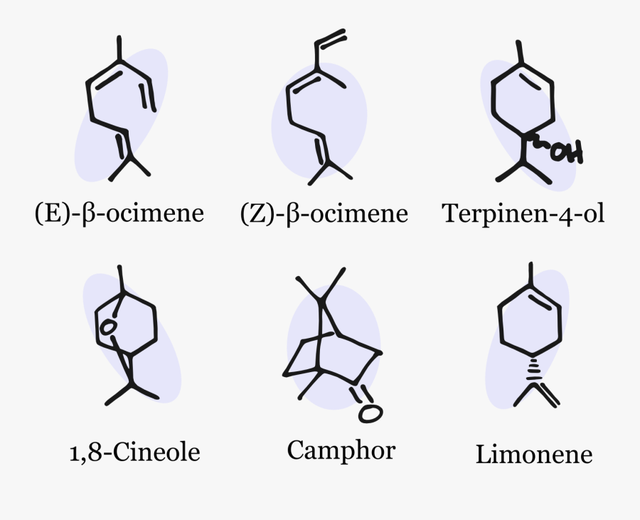 Minor Compounds - E )- Β Ocimene, Transparent Clipart