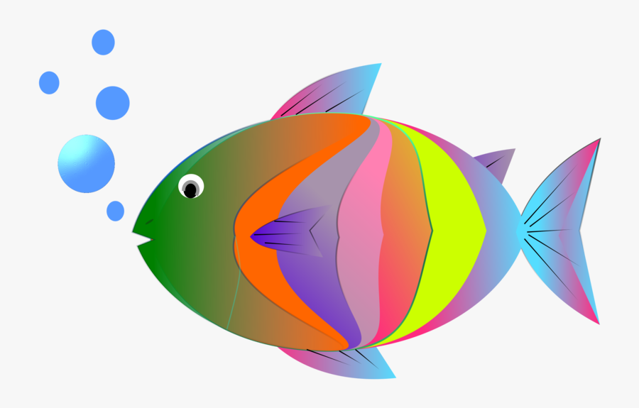 Coral Reef Fish, Transparent Clipart