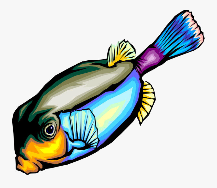 Vector Illustration Of Colorful Tropical Marine Fish, Transparent Clipart