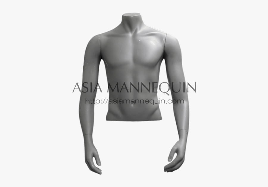 Clip Art Male Mannequins Torso - Wetsuit, Transparent Clipart