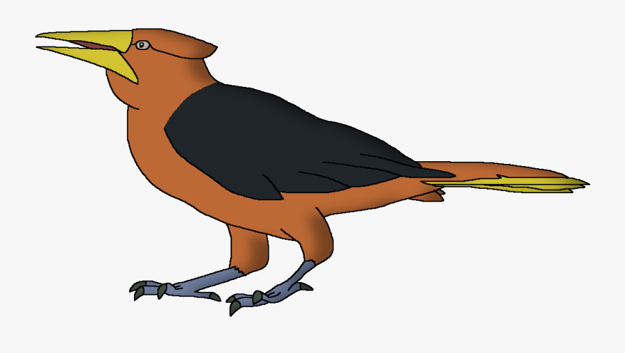 Wildlife Animal Pedia Wiki, Transparent Clipart