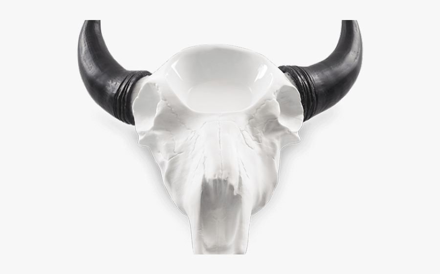 Bull Skull Pictures - Open Plains Scentsy Warmer, Transparent Clipart