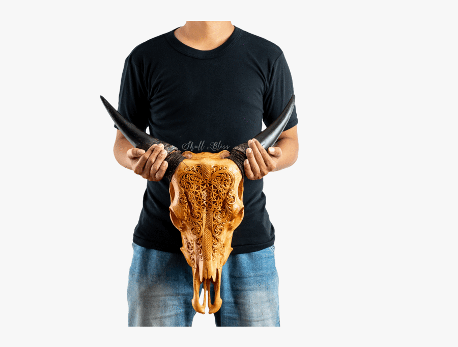 Bull, Transparent Clipart