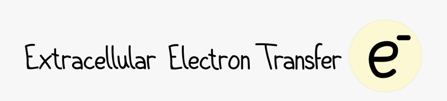 Calligraphy, Transparent Clipart