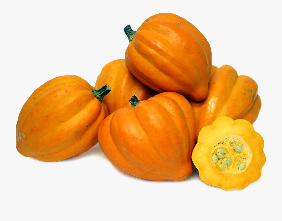Transparent Butternut Squash Clipart - Squash Png, Transparent Clipart