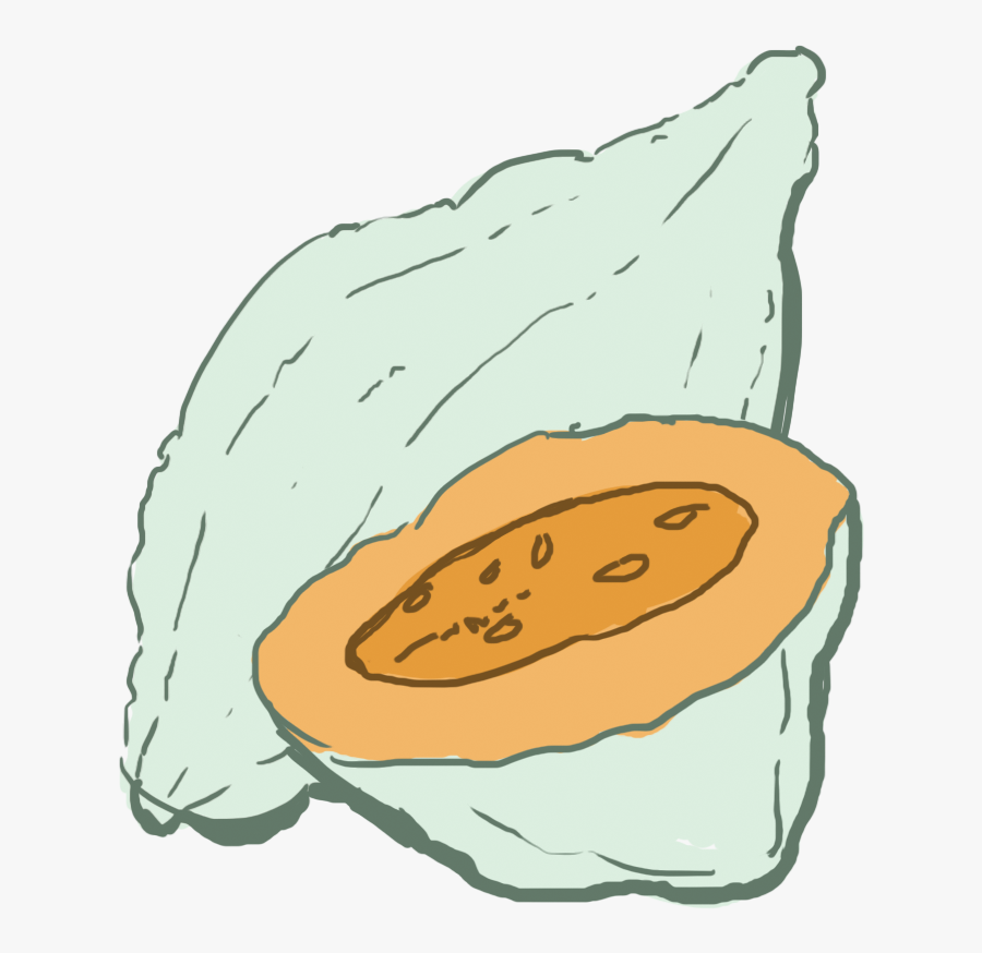Squash Clipart Winter Squash, Transparent Clipart