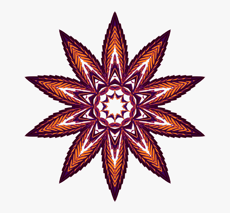 Plant,flower,leaf - Mental Health Recovery Star, Transparent Clipart