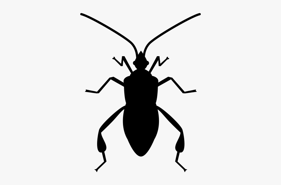 Insect Black Vector, Transparent Clipart
