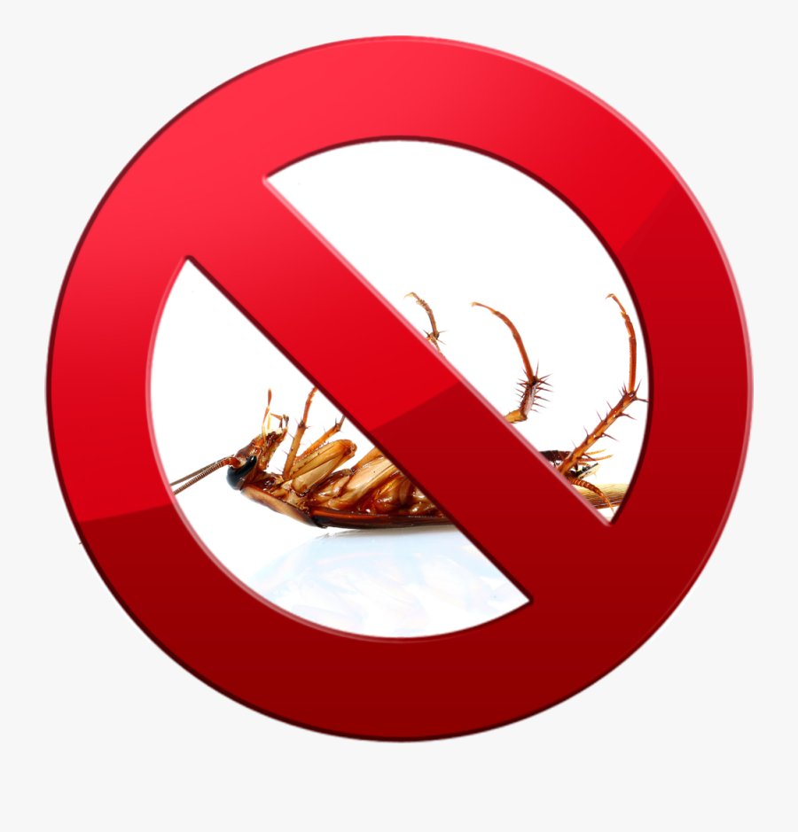 Transparent Cockroaches Png - Dead Transparent Cockroach, Transparent Clipart