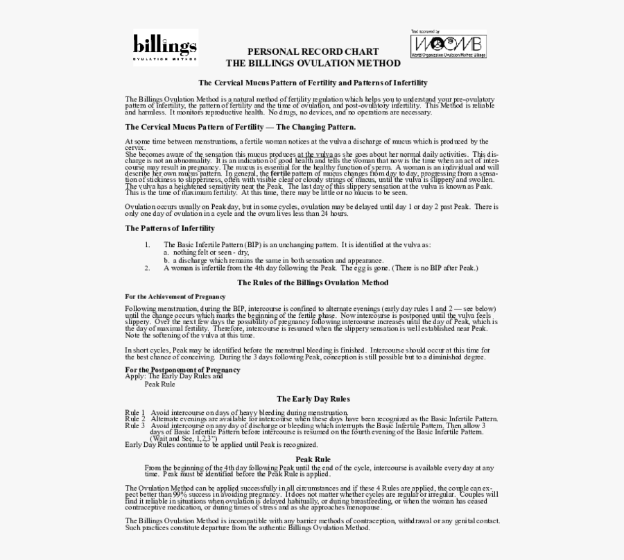 Document, Transparent Clipart