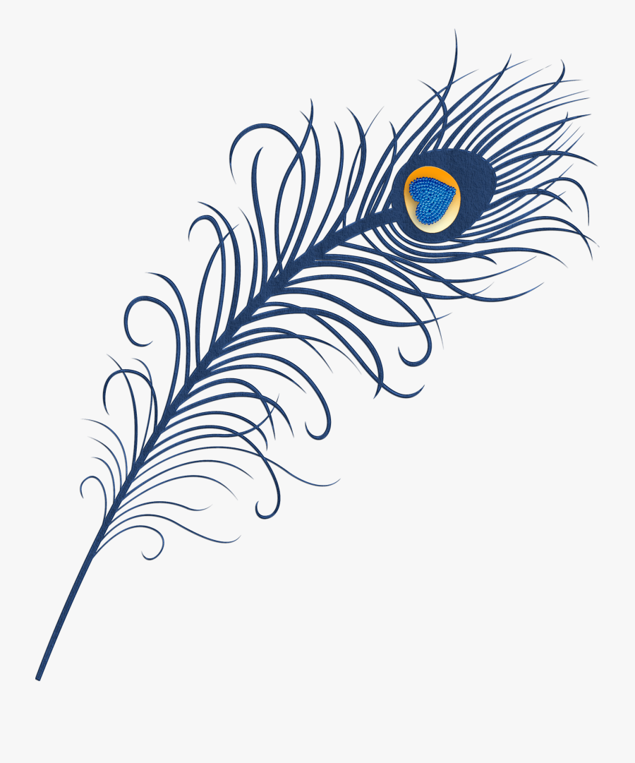 Png Format Peacock Feather Png, Transparent Clipart