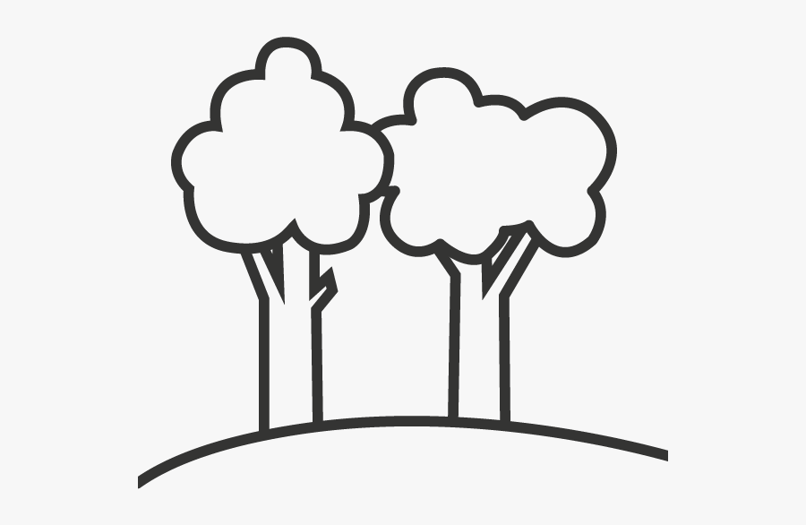 Desenho De Um Vegetal, Transparent Clipart