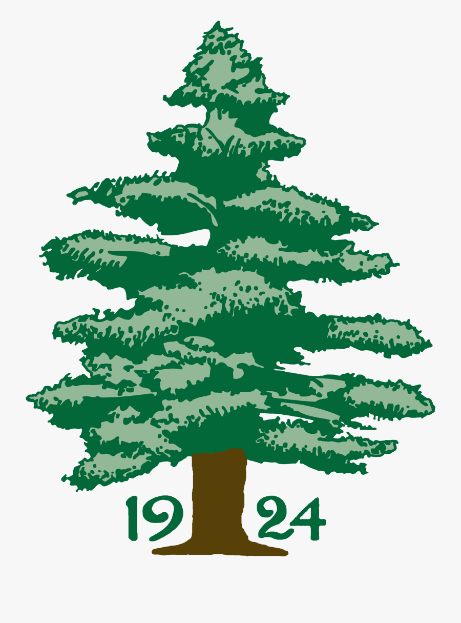 Silvertip Fir, Transparent Clipart