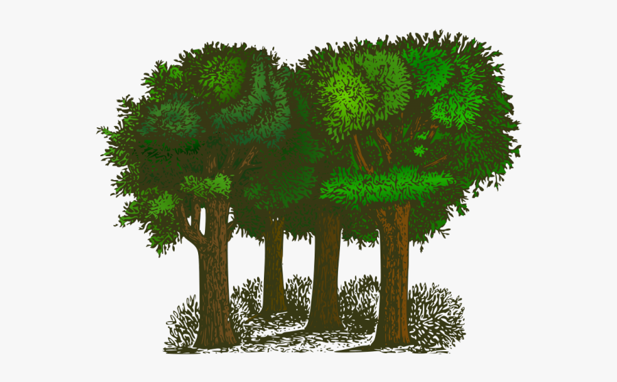 Balance Of Oxygen And Carbon Dioxide, Transparent Clipart