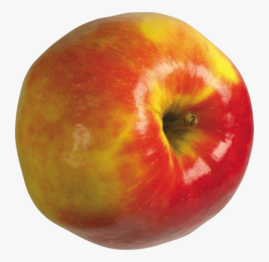 Portable Network Graphics, Transparent Clipart