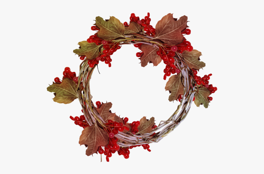 Twig, Transparent Clipart