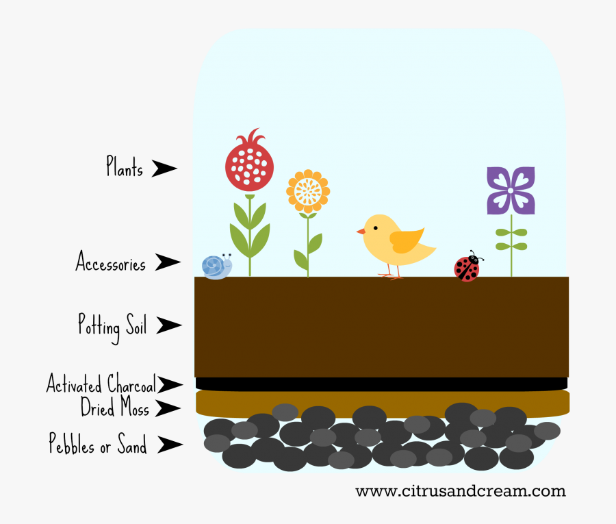 Easy Visual Explanation - Cartoon Flowers Transparent, Transparent Clipart
