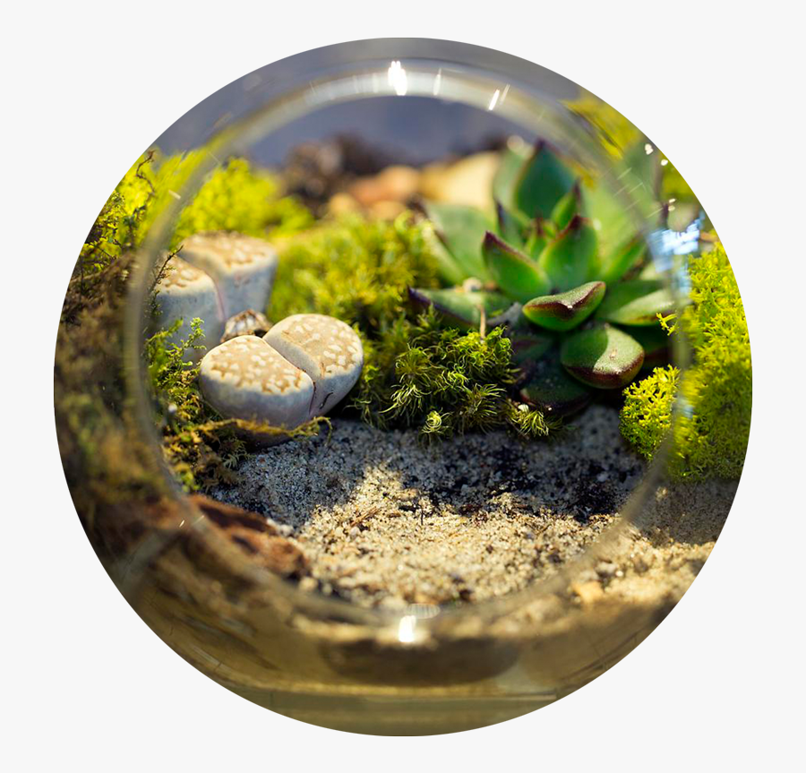 Clip Art Garden Activities Building A, Transparent Clipart