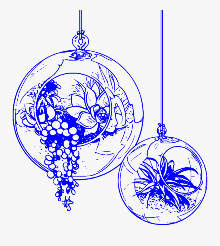 Aesthetic Blue Handdrawn Terrarium Succulent Succulent - Aesthetic Blue Line Art, Transparent Clipart
