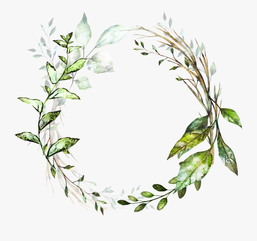 Watercolor Plant Frame Png, Transparent Clipart