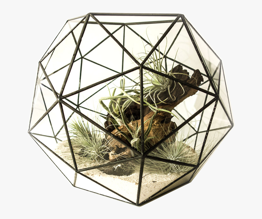 Transparent Octogon Png - Floral Design, Transparent Clipart