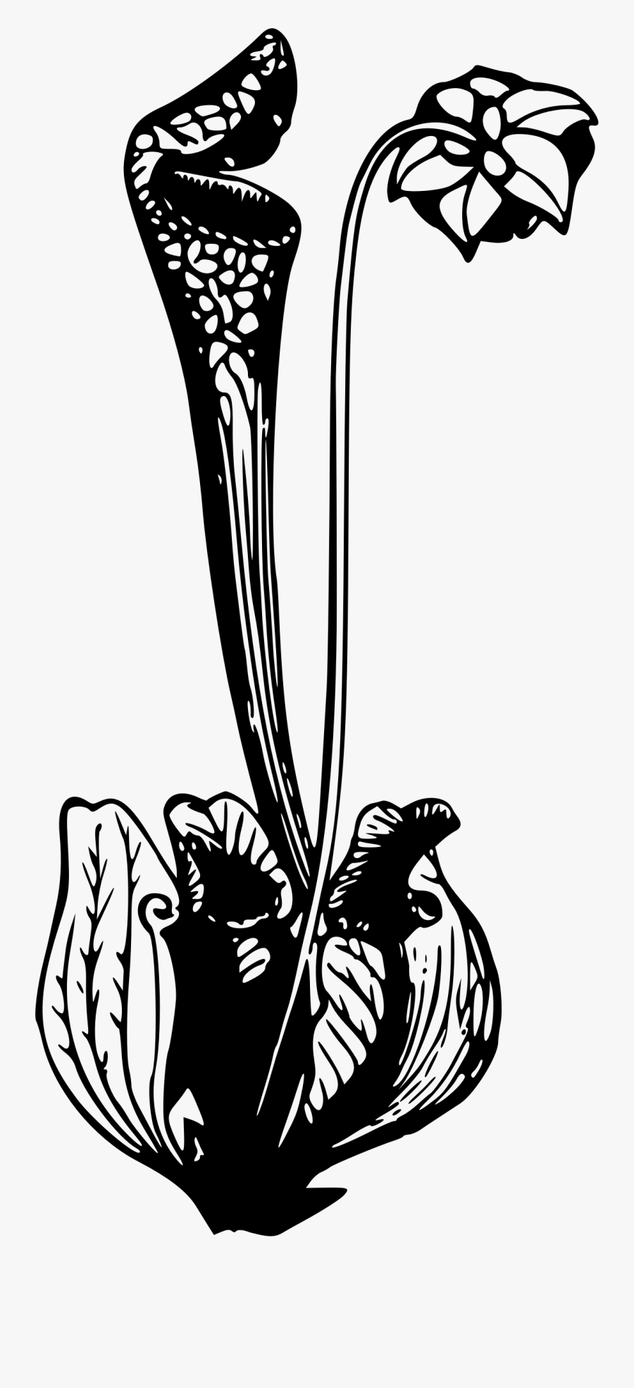 Clipart - Illustration, Transparent Clipart