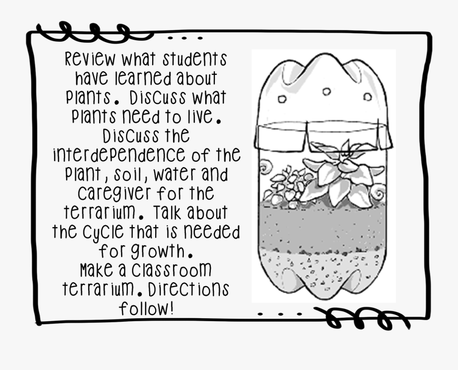 Terrarium 1st Grade, Transparent Clipart