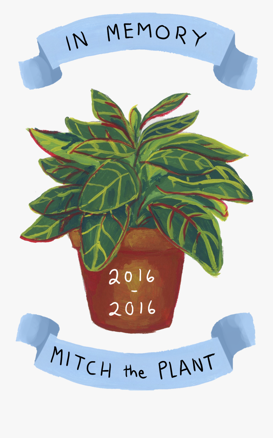 A Small Portrait I Made For Cody Rhodes As A Thank - Houseplant, Transparent Clipart
